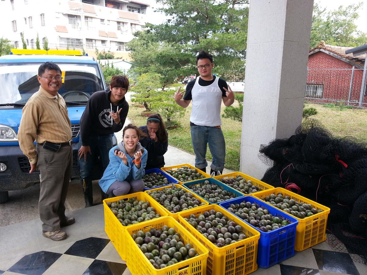 Songfeng Xiuxian Homestay Puli Ngoại thất bức ảnh